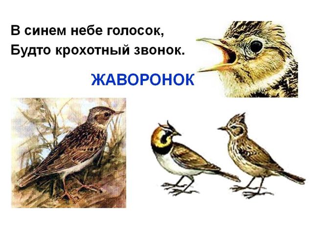 Приобщение детей к истокам русской народной культуры