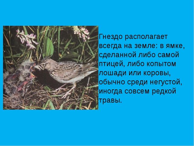 Приобщение детей к истокам русской народной культуры