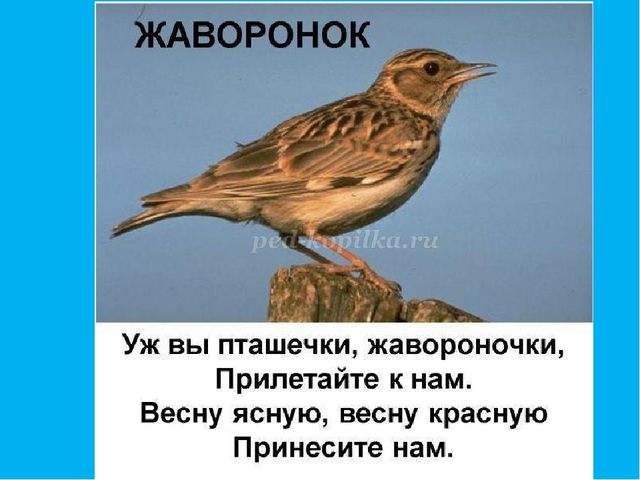 Приобщение детей к истокам русской народной культуры