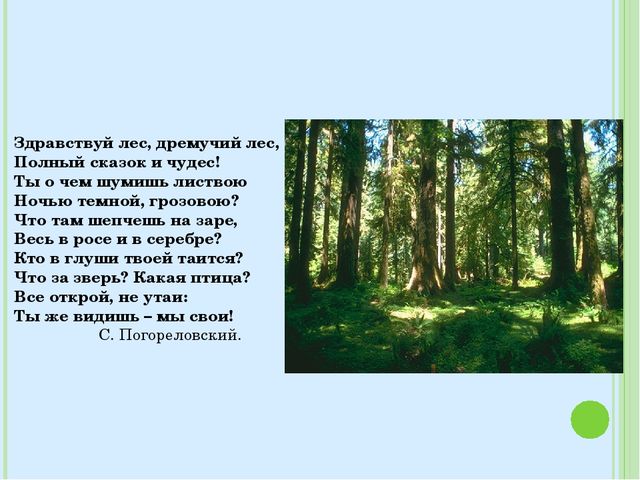 Знакомство с лесными зверями в загадках. Электронное пособие для детей дошкольного возраста