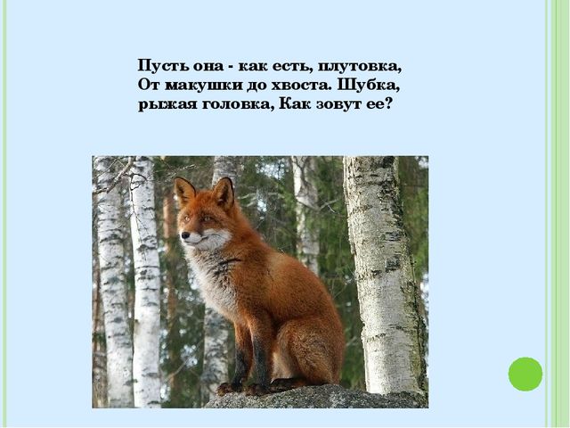 Знакомство с лесными зверями в загадках. Электронное пособие для детей дошкольного возраста