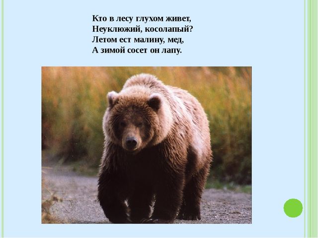 Знакомство с лесными зверями в загадках. Электронное пособие для детей дошкольного возраста