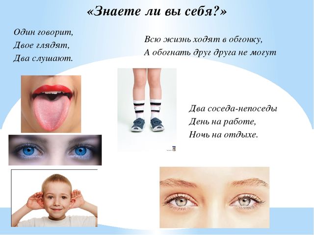 Число 2. Цифра 2. Пара. Презентация по математике для детей (5-6 лет)