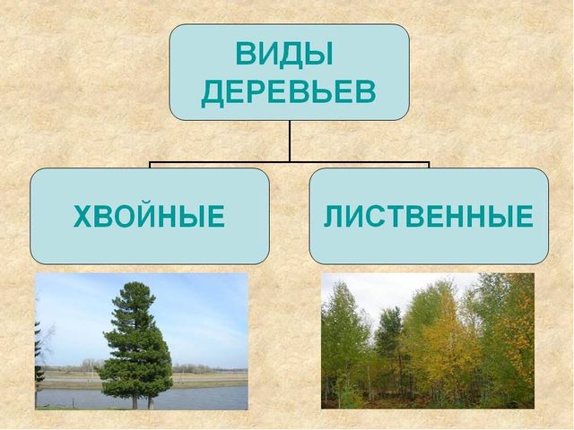Назови, отгадай, сосчитай. Презентация для школы будущего первоклассника
