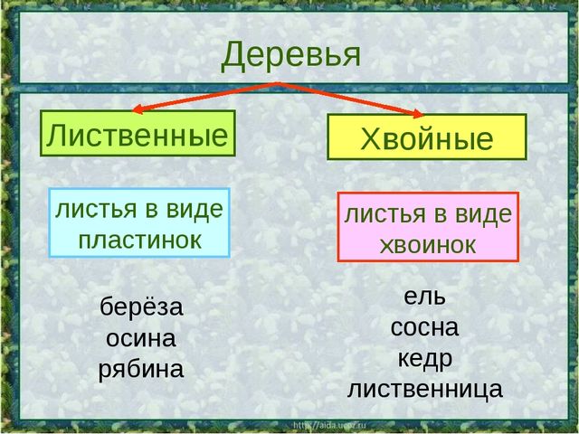 Назови, отгадай, сосчитай. Презентация для школы будущего первоклассника