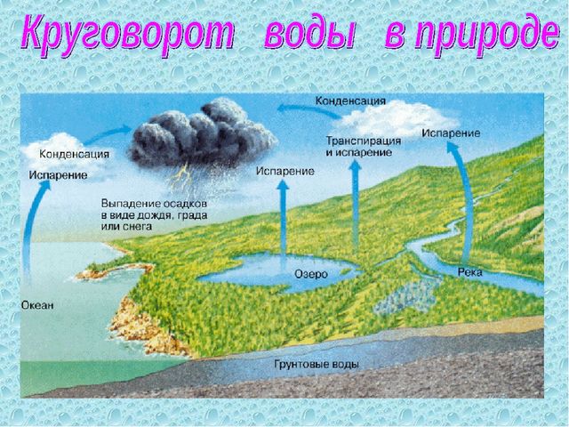 Вода источник жизни. Презентация для детей