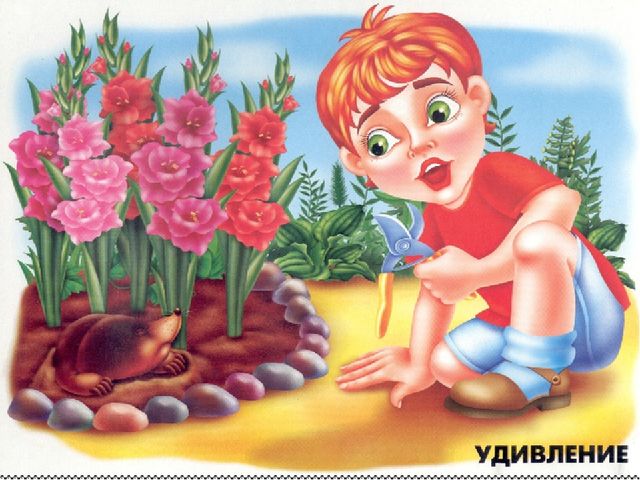 Виды эмоций. Презентация для детей среднего дошкольного возраста