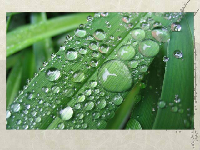 Мир в капле воды. Презентация к КВН