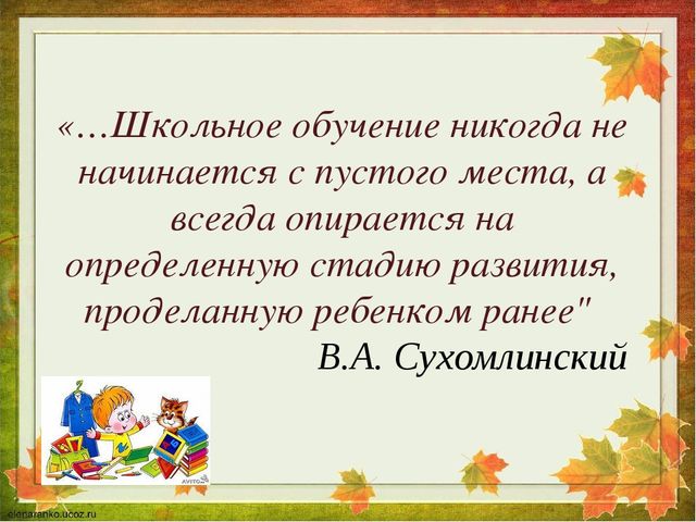 Основная программа дошкольного образования