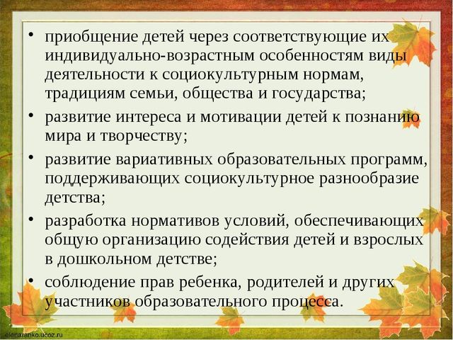 Основная программа дошкольного образования