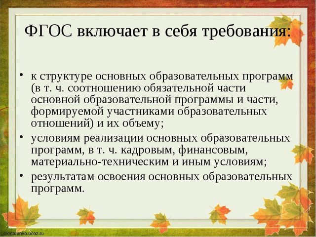 Основная программа дошкольного образования