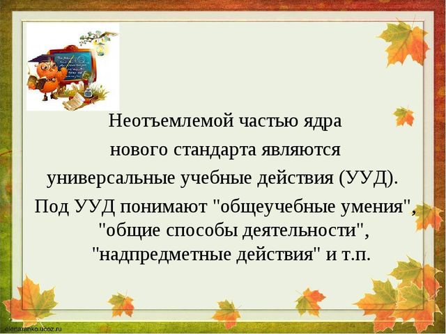 Основная программа дошкольного образования