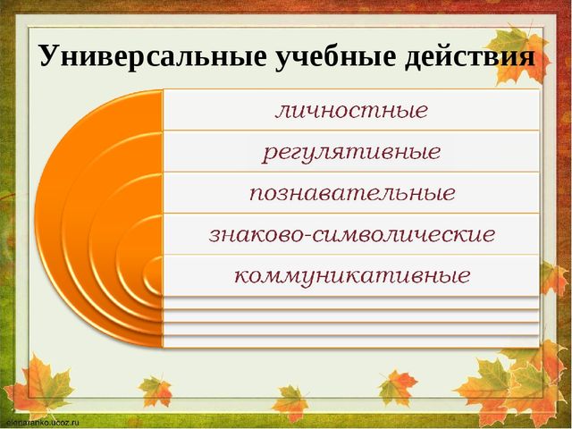 Основная программа дошкольного образования