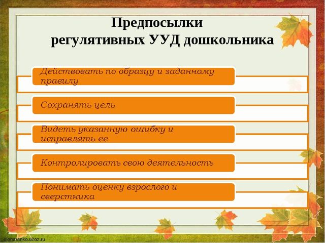 Основная программа дошкольного образования