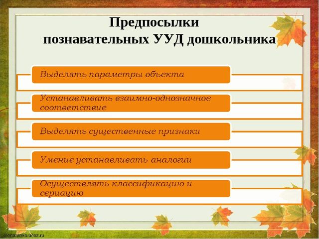 Основная программа дошкольного образования
