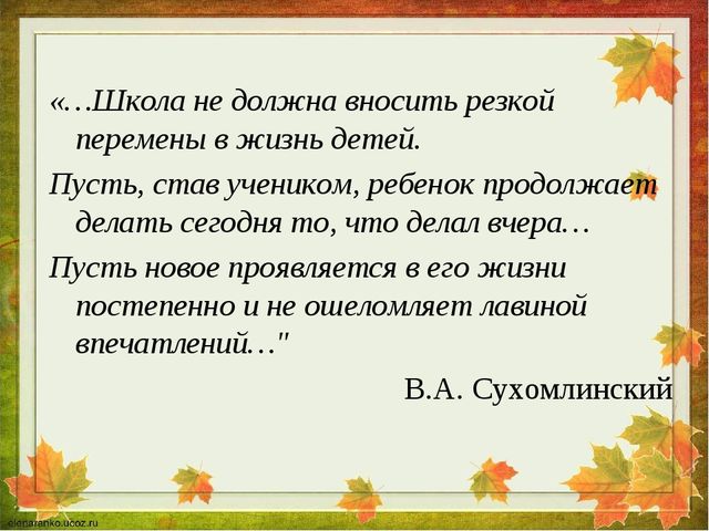 Основная программа дошкольного образования