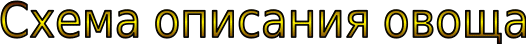 Shape1