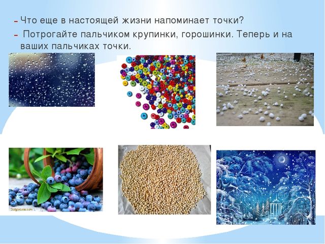 Точка. Линия. Прямая и кривая линии. Презентация по математике (5-6 лет)