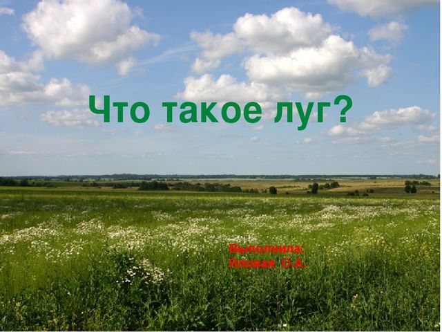 Что такое луг? Презентация по окружающему миру
