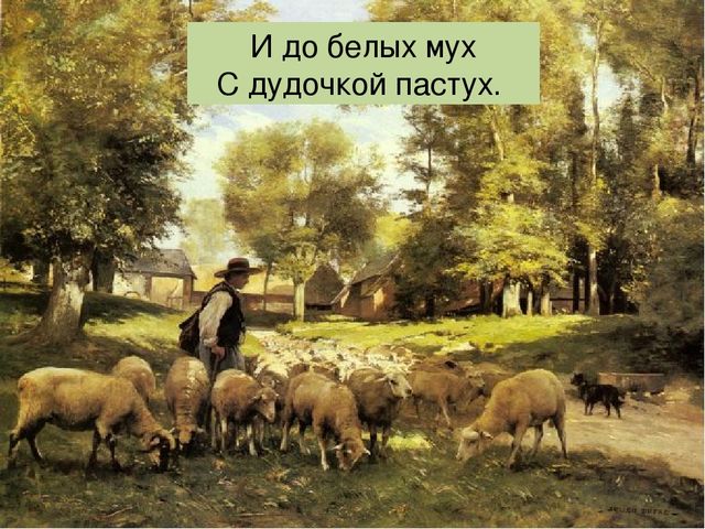 Что такое луг? Презентация по окружающему миру