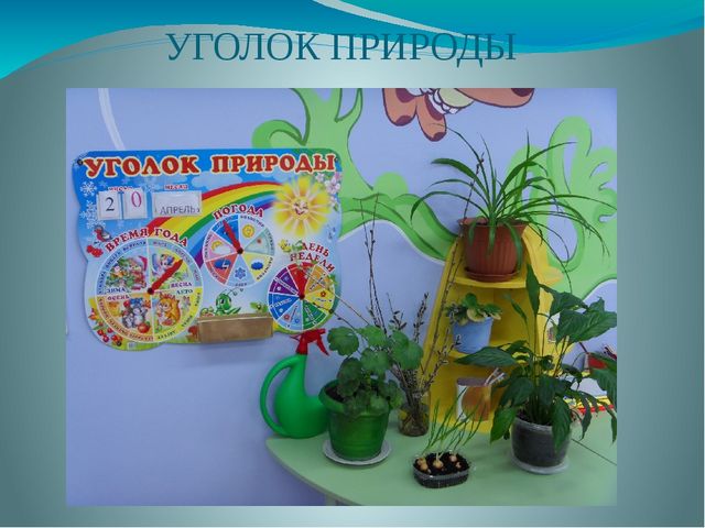 Презентация. Развивающая среда детского сада