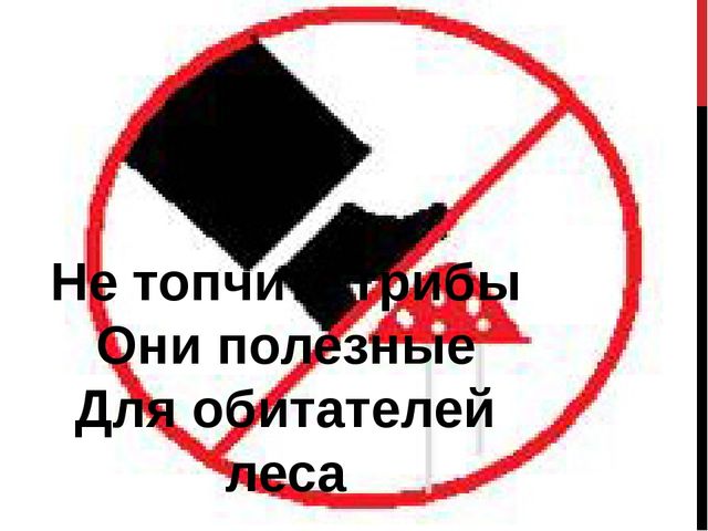 Презентация. Именины у Земли