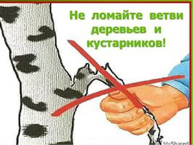 Презентация. Именины у Земли