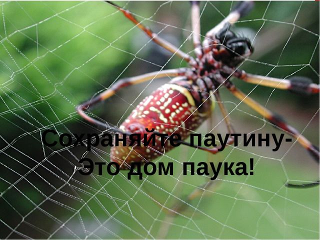 Презентация. Именины у Земли