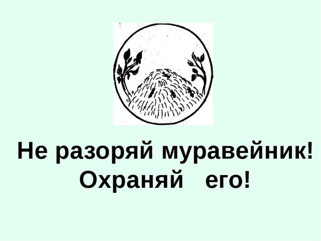 Презентация. Именины у Земли