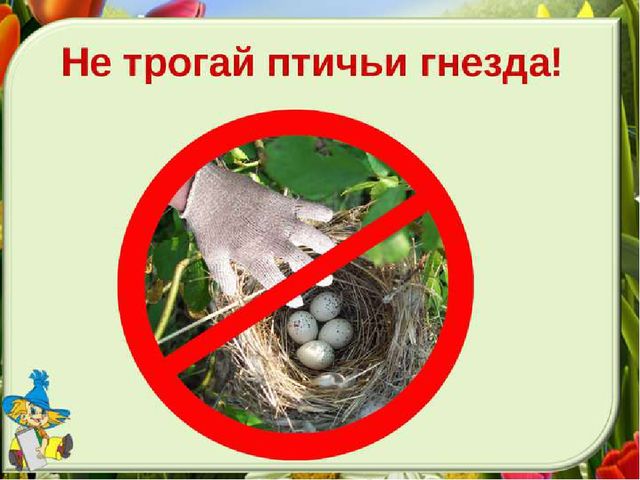Презентация. Именины у Земли