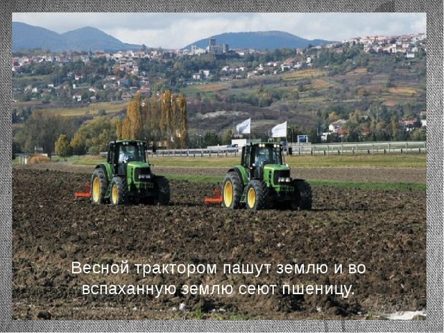 Презентация для детей. Откуда к нам хлеб пришёл