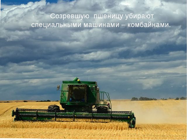 Презентация для детей. Откуда к нам хлеб пришёл