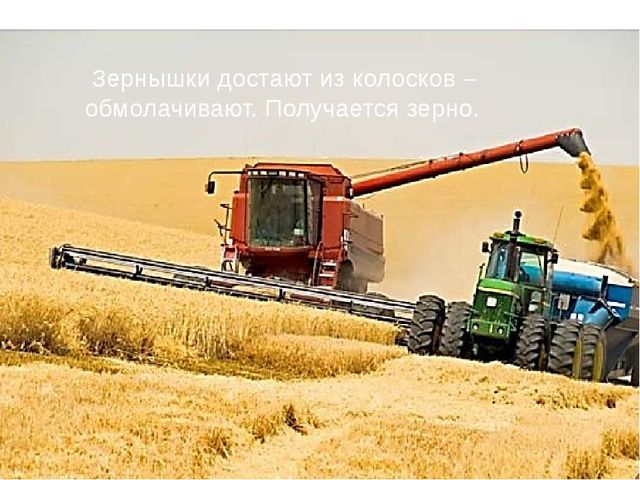 Презентация для детей. Откуда к нам хлеб пришёл