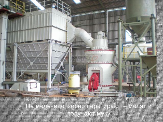 Презентация для детей. Откуда к нам хлеб пришёл