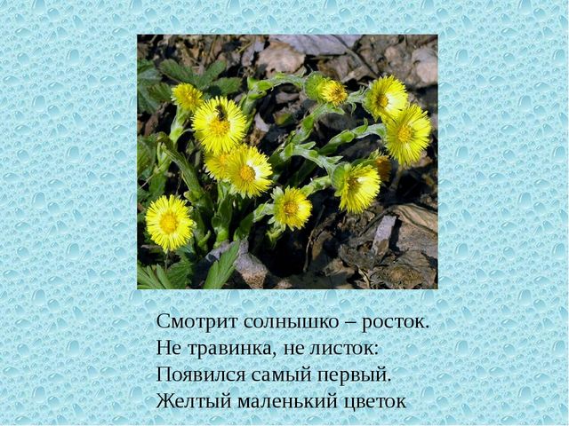 Весна. Презентация для детей дошкольного возраста