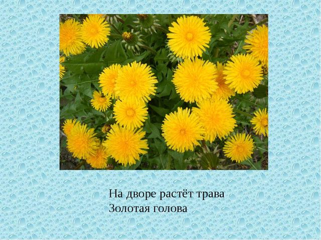 Весна. Презентация для детей дошкольного возраста
