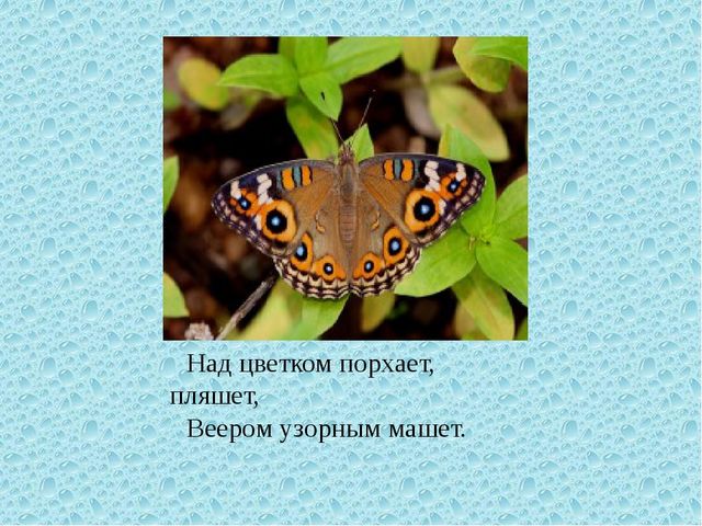 Весна. Презентация для детей дошкольного возраста