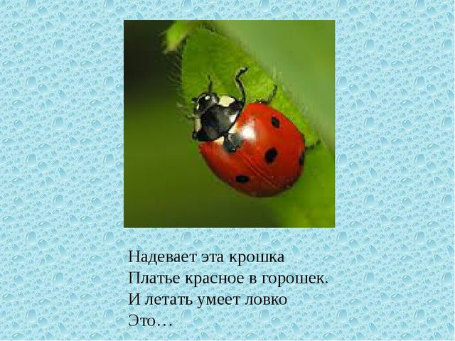 Весна. Презентация для детей дошкольного возраста