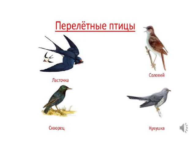 Весна пришла, приметы весны! Презентация