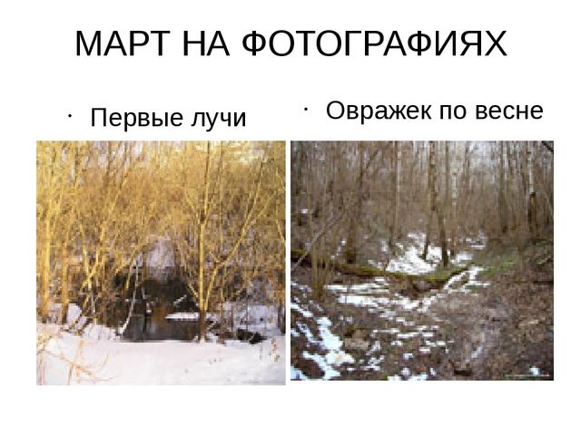 Весна. Презентация по познавательному развитию