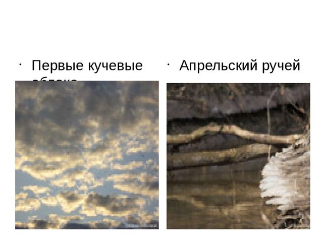 Весна. Презентация по познавательному развитию