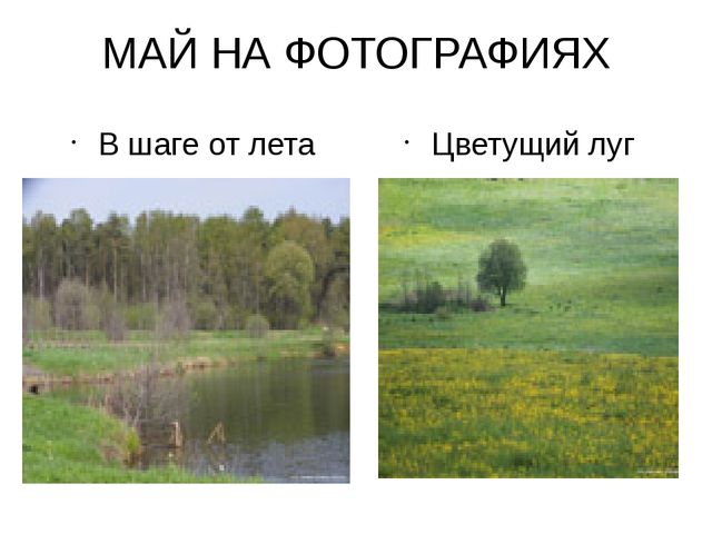Весна. Презентация по познавательному развитию