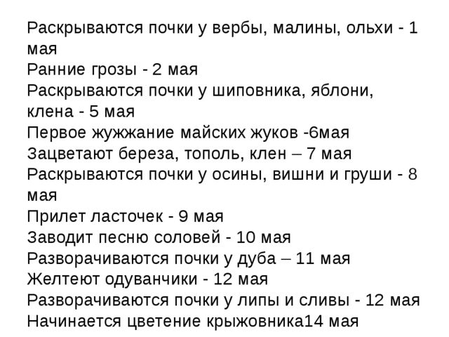 Весна. Презентация по познавательному развитию