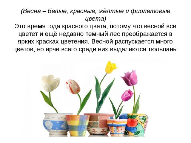 Весна. Презентация по познавательному развитию