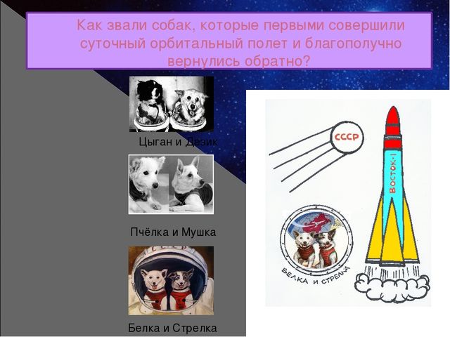 Космонавтика. Интерактивный тренажёр-раскраска