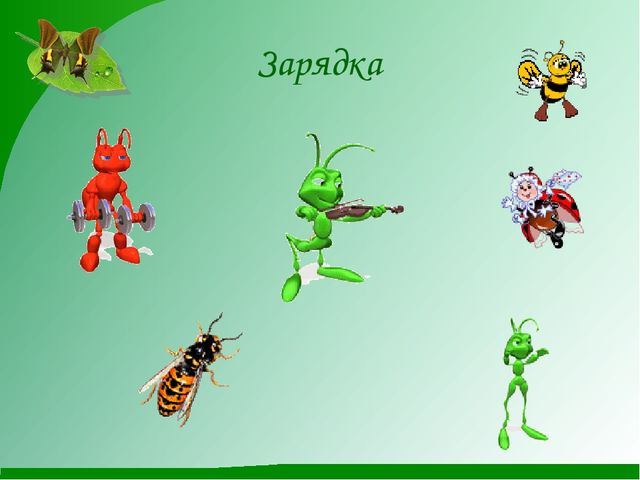 Насекомые. Презентация для детей средней группы