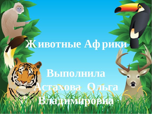 Животные Африки. Презентация по окружающему миру