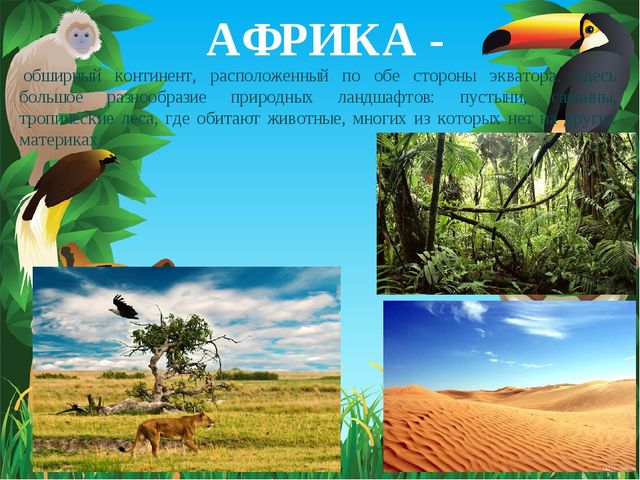 Животные Африки. Презентация по окружающему миру