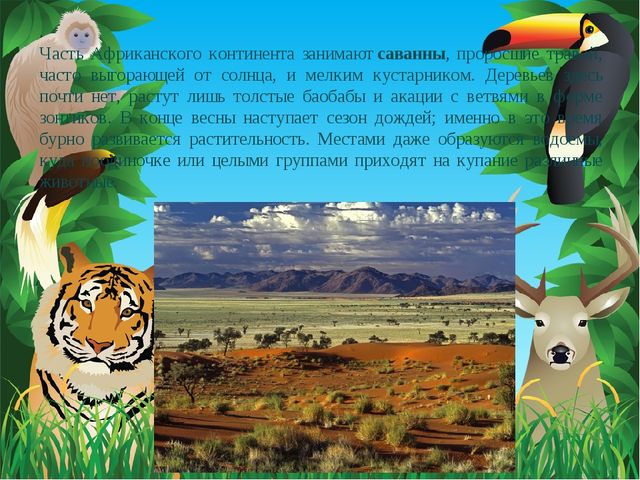 Животные Африки. Презентация по окружающему миру