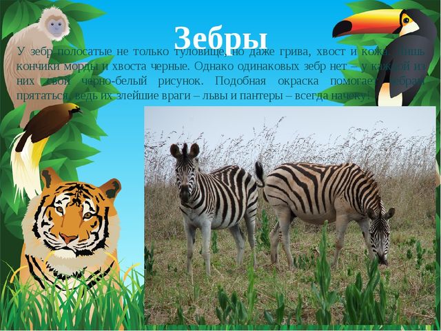 Животные Африки. Презентация по окружающему миру